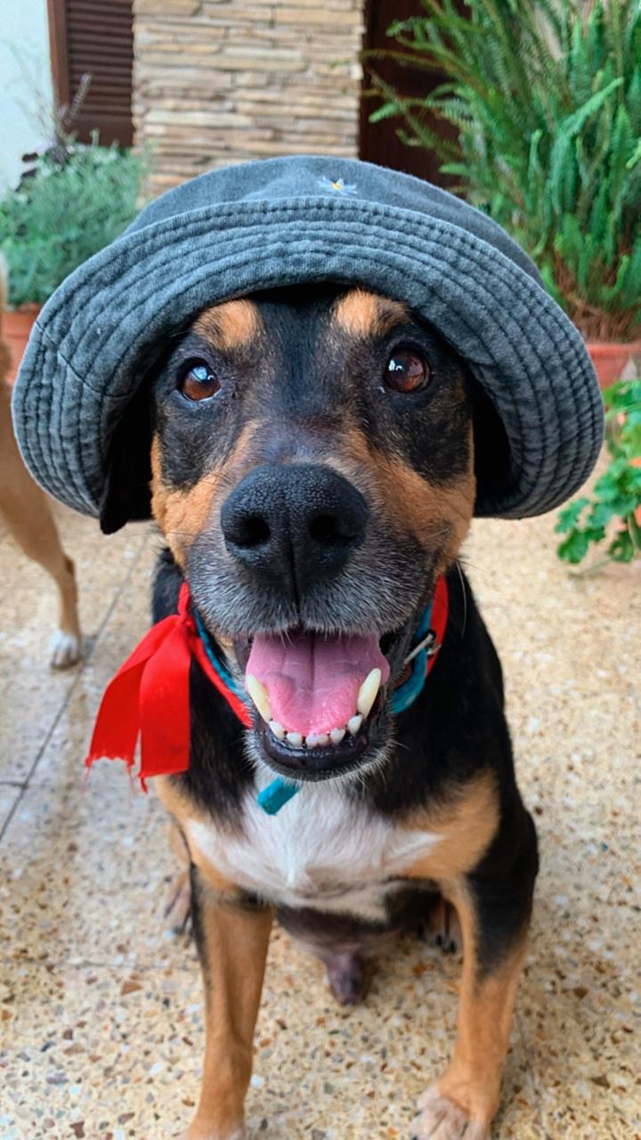 Imagen de publicación